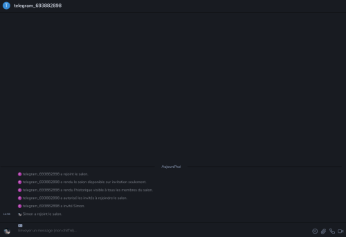 capture_du_2019-06-05_15-15-45-matrix-telegram.png
