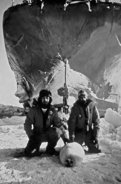 verzuh-4.-paul-watson-and-bob-hunter-with-harp-seal-blocking-a-norwegian-vessel-during-spring-canadian-seal-hunt-in-1976-e1692228572702.jpg verzuh-4.-paul-watson-and-bob-hunter-with-harp-seal-blocking-a-norwegian-vessel-during-spring-canadian-seal-hunt-in-1976-e1692228572702.jpg